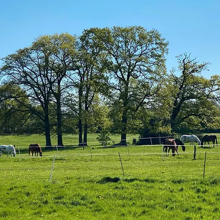 Gaestehaus Mit Seminarraum Meezen