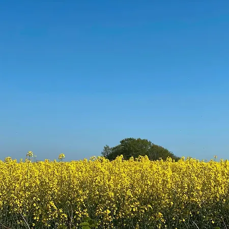 Gaestehaus Mit Seminarraum 度假居