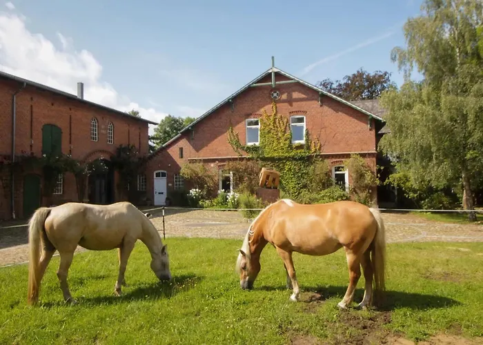 Gaestehaus Mit Seminarraum Meezen