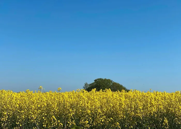 Gaestehaus Mit Seminarraum 度假居